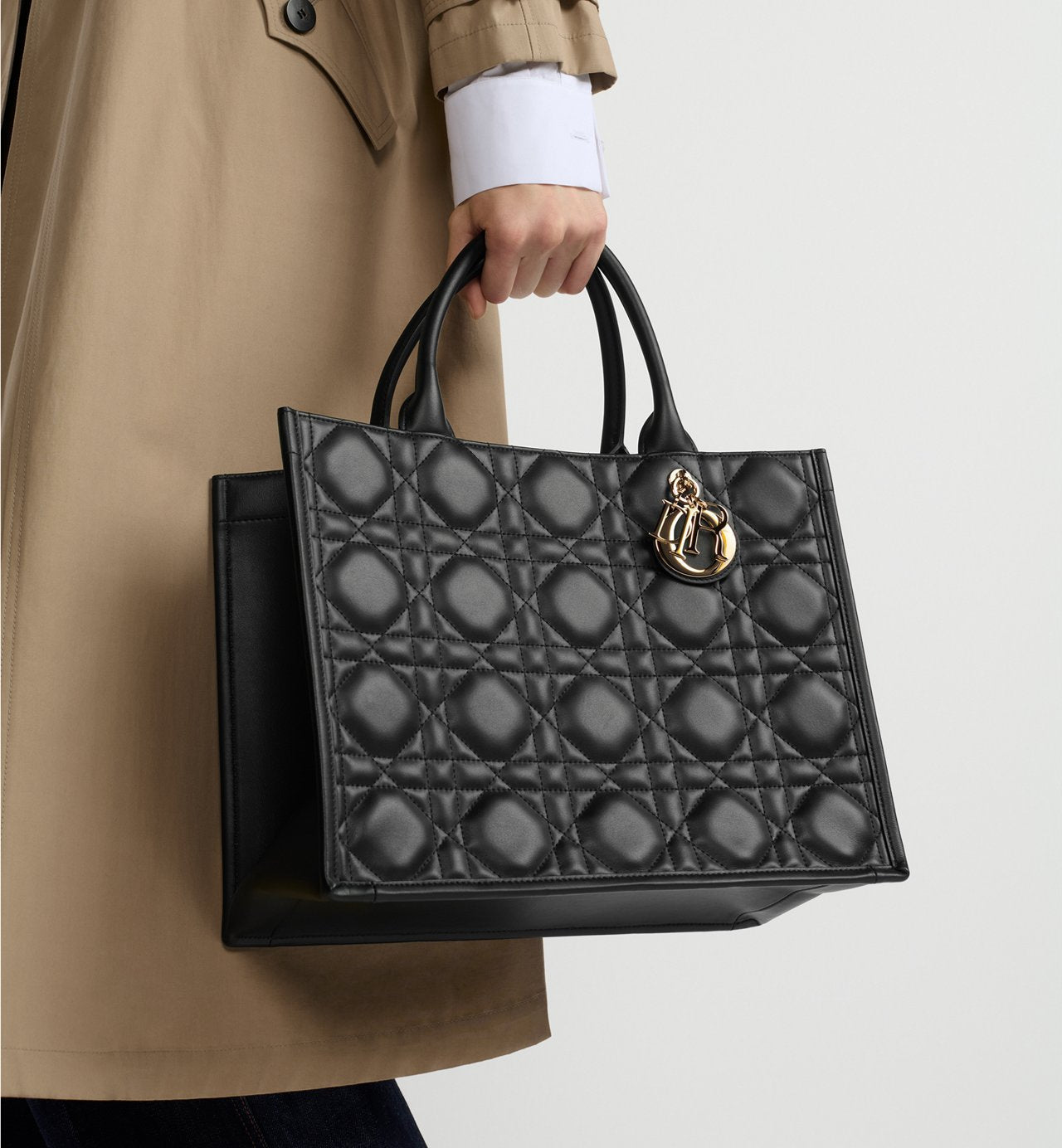 Dior Book Tote Medium Bag - #1