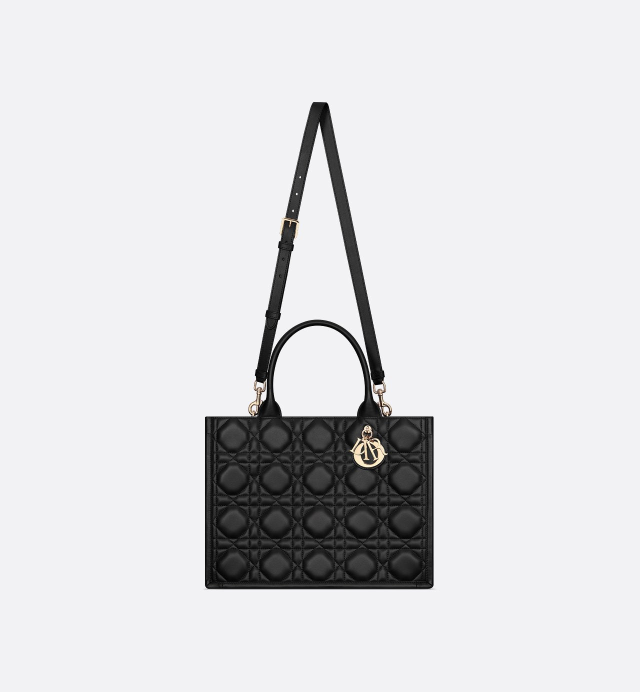 Dior Book Tote Medium Bag - #1