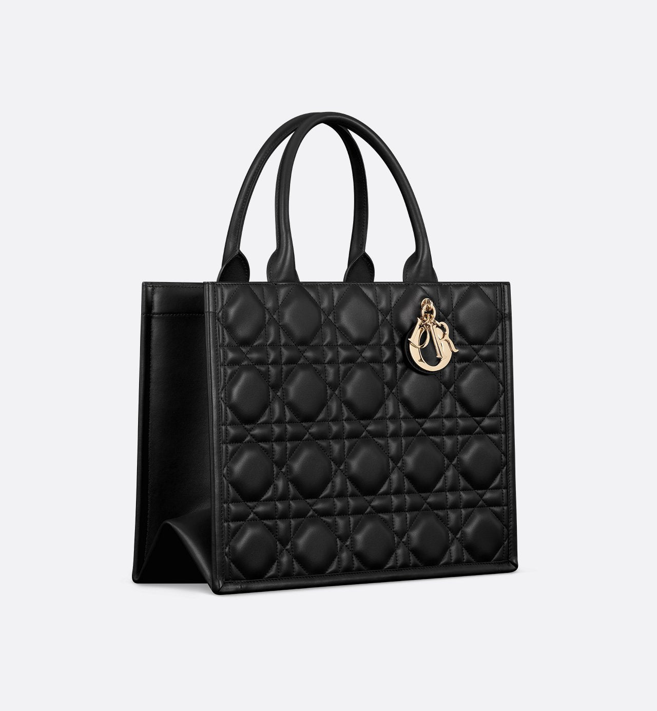 Dior Book Tote Medium Bag - #1