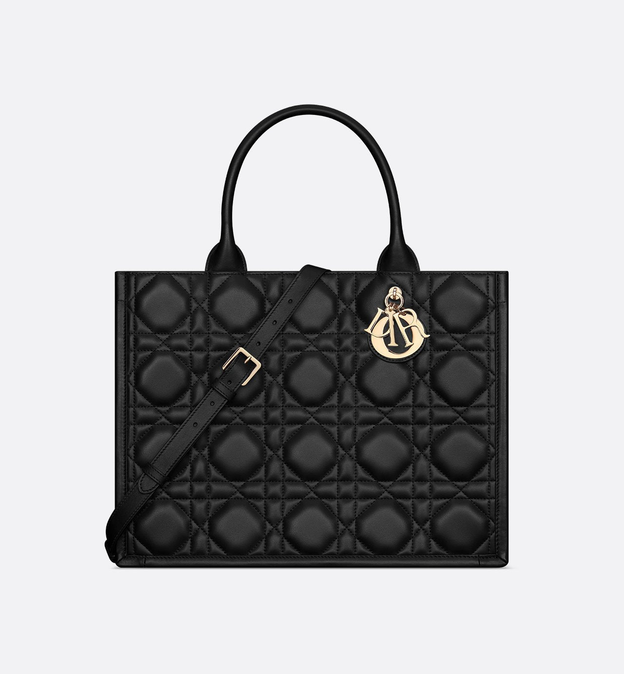 Dior Book Tote Medium Bag - #1