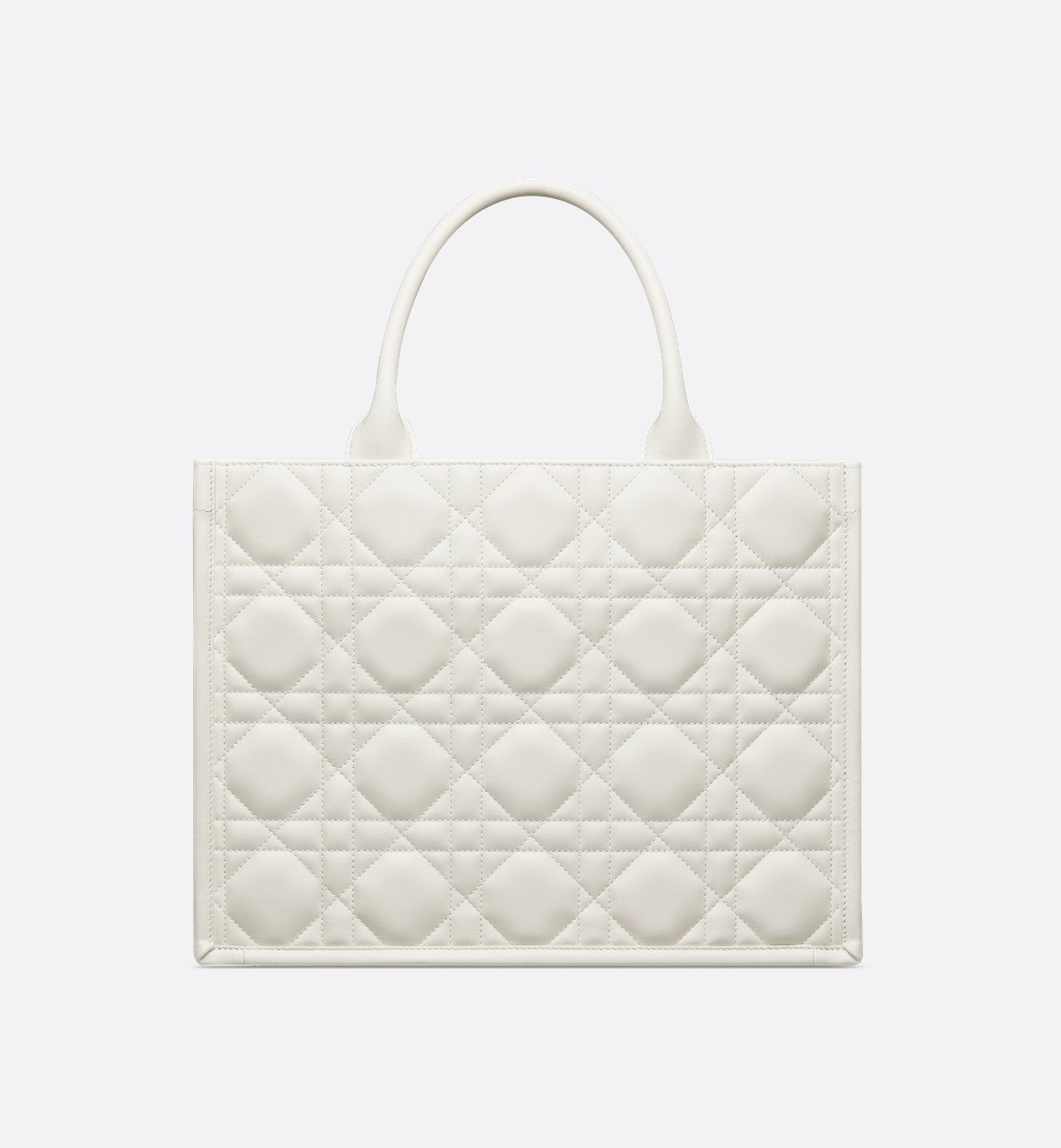 Dior Book Tote Medium Bag - #2