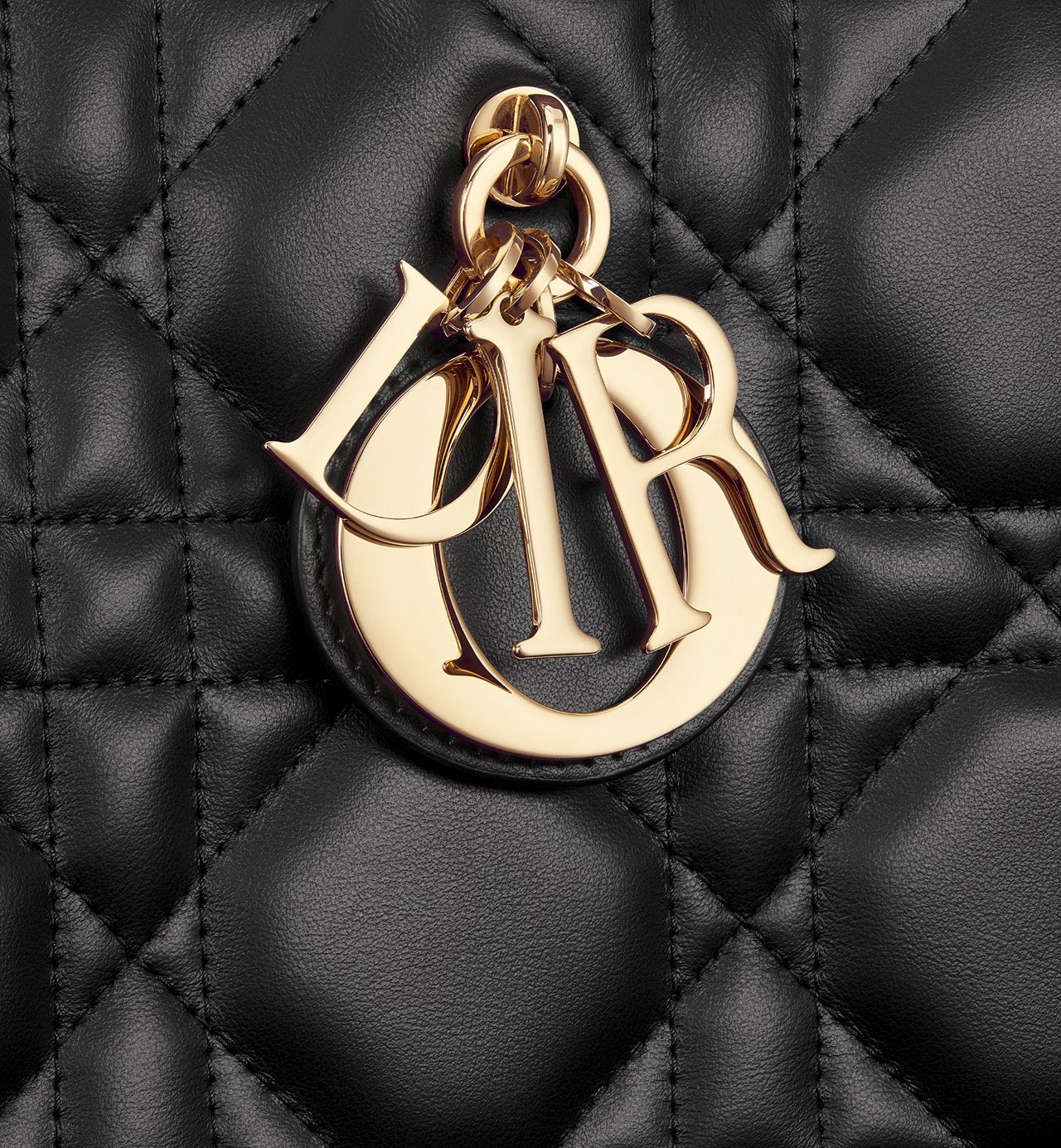 Dior Book Tote Medium Bag - #1