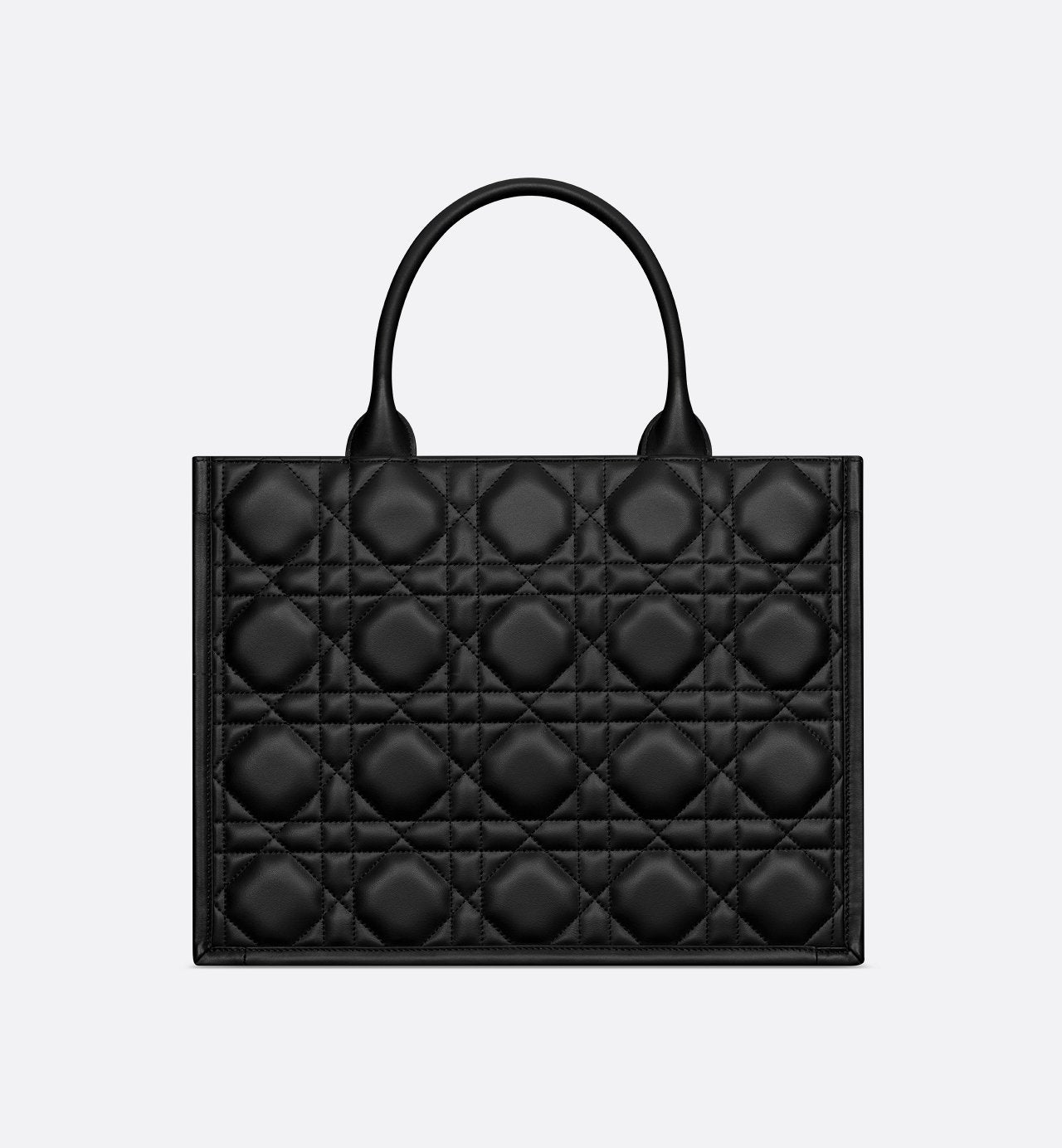 Dior Book Tote Medium Bag - #1