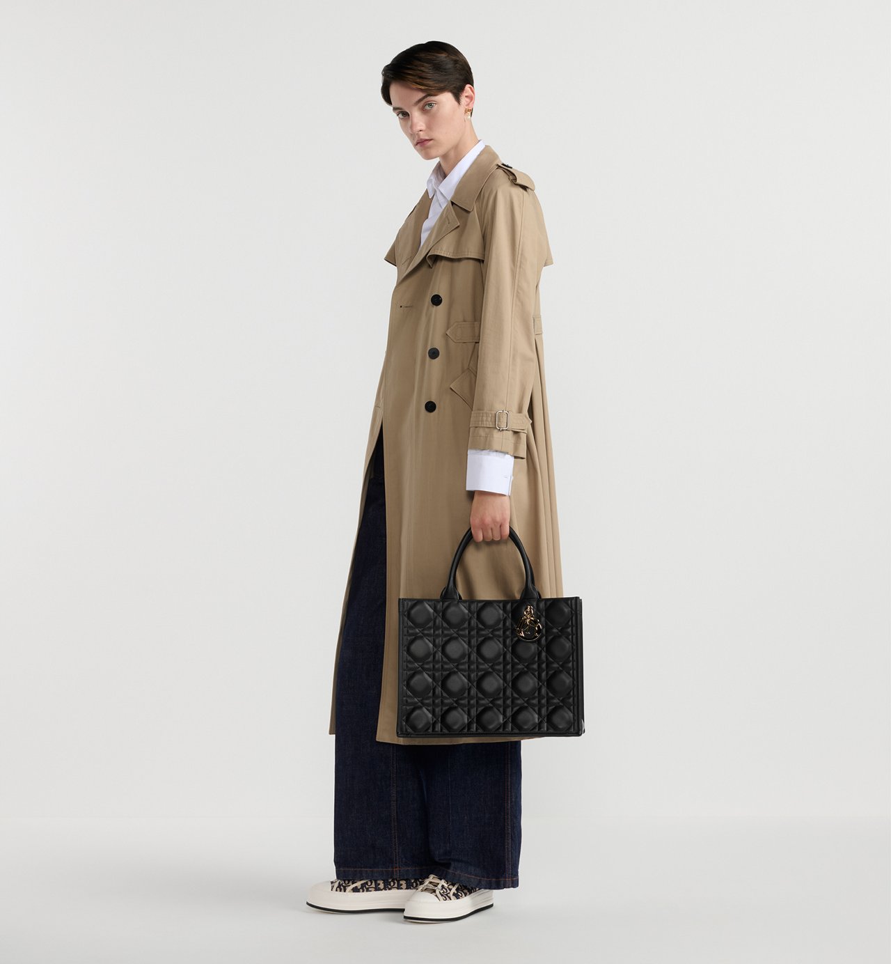 Dior Book Tote Medium Bag - #1
